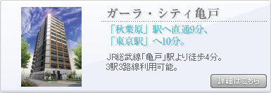 �K�[���E�V�e�B�T��